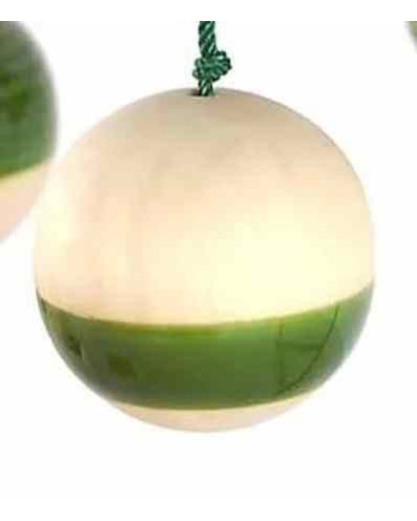 Modèle 1