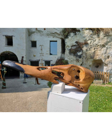 Crâne de canard col vert