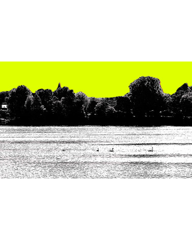 Schwan cygnes sur le confluent surréaliste de la Loire et de la Vienne