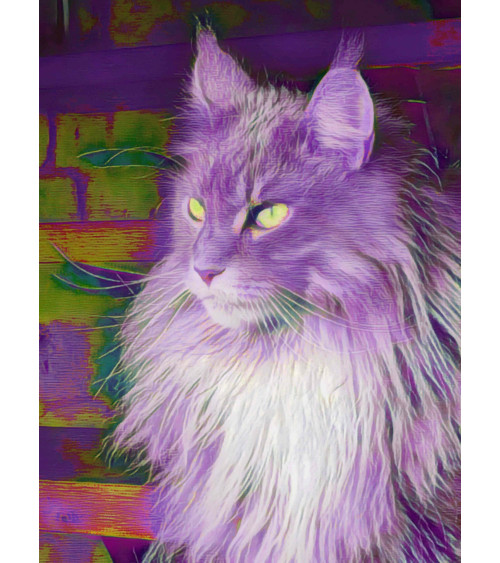 Amazing Cat, le Maine Coon surréaliste et contemporain réalisé par LEV