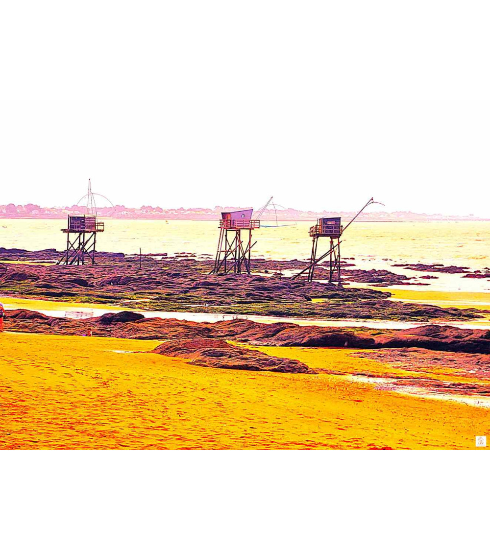 3 girafes de Retz – Photographie contemporaine | Lev Arts Contemporain