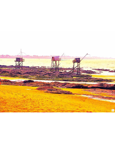 3 girafes de Retz – Photographie contemporaine | Lev Arts Contemporain