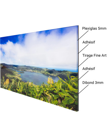 Photographie Chat Violet en Digigraphie | Lev Arts Contemporains