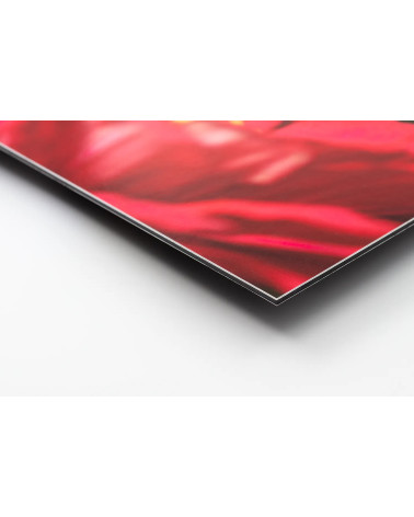 LR Black – Photographie d’art minimaliste en digigraphie limitée