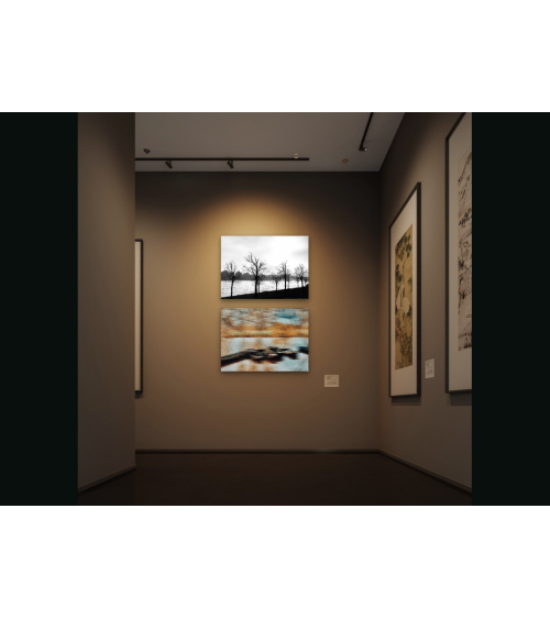 Loire saumuroise noir et blanc – Digigraphie Oksana Chilikina