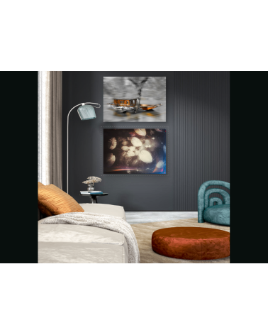 La Toue cabanée – Digigraphie Loire | Oksana Chilikina