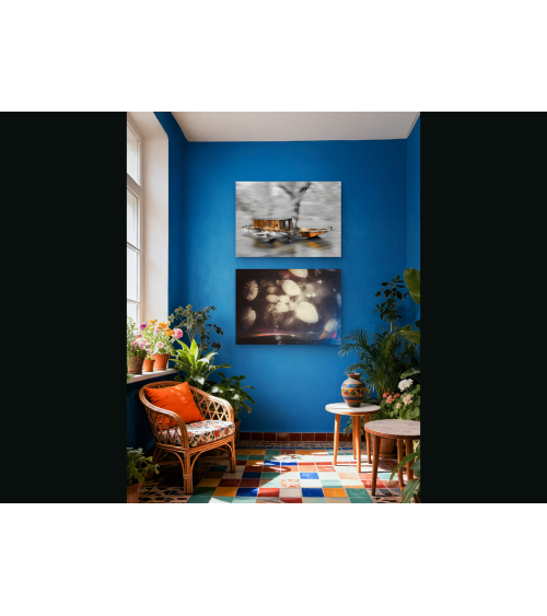 Nénuphars sur Loire – Digigraphie d’art | Oksana Chilikina