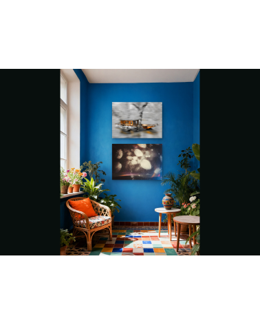 Nénuphars sur Loire – Digigraphie d’art | Oksana Chilikina