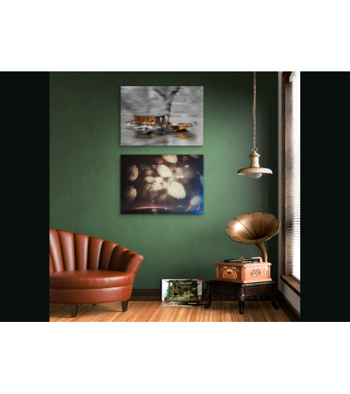 Nénuphars sur Loire – Digigraphie d’art | Oksana Chilikina