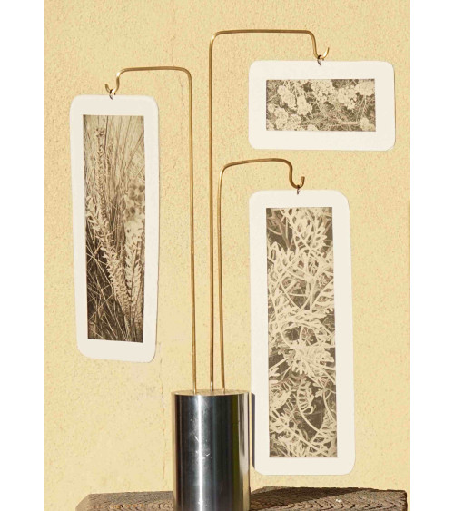 Composition « Compo Photo 124 » M.-L. Teisseire Photo Inox Laiton