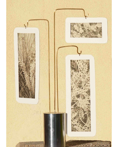 Composition « Compo Photo 124 » M.-L. Teisseire Photo Inox Laiton