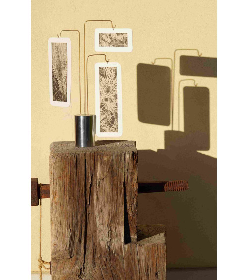 Composition « Compo Photo 124 » M.-L. Teisseire Photo Inox Laiton