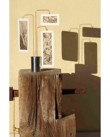 Composition « Compo Photo 124 » M.-L. Teisseire Photo Inox Laiton