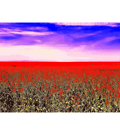 FLOWERS' FLAG – Digigraphie Lionel Roulleau | Art contemporain