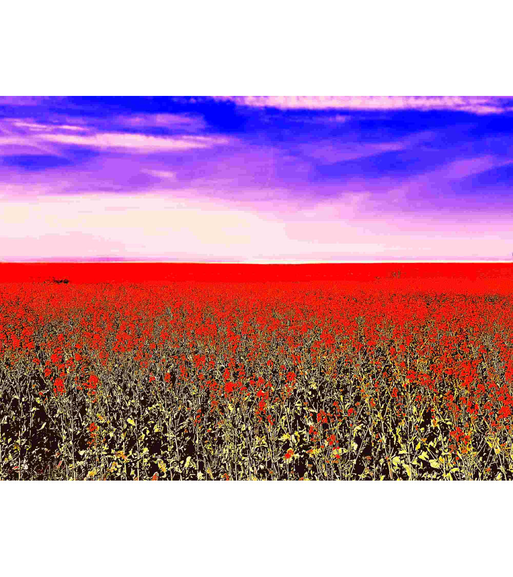 FLOWERS' FLAG – Digigraphie Lionel Roulleau | Art contemporain