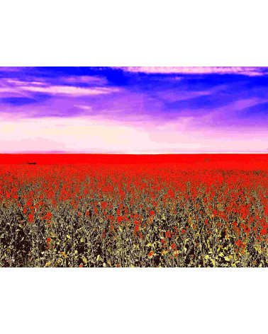 FLOWERS' FLAG – Digigraphie Lionel Roulleau | Art contemporain