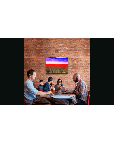 FLOWERS' FLAG – Digigraphie Lionel Roulleau | Art contemporain