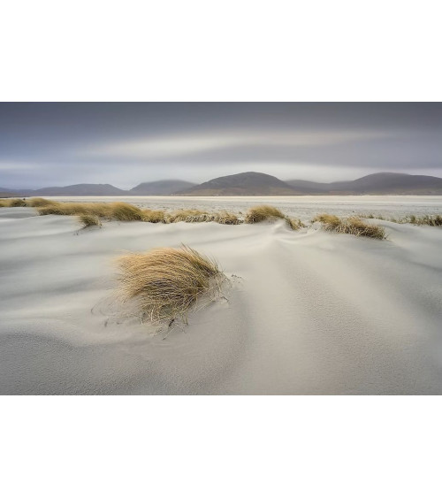 HARRIS 13 – Photographie John SUTTON | Tirage d’art limité