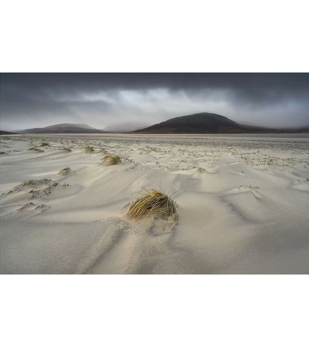 HARRIS 14 – Photographie John SUTTON | Tirage d’art limité