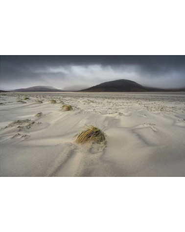 HARRIS 14 – Photographie John SUTTON | Tirage d’art limité