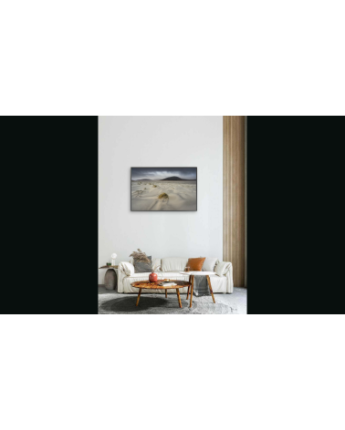 HARRIS 14 – Photographie John SUTTON | Tirage d’art limité
