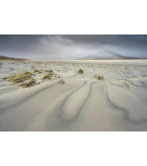 HARRIS 15 – Photographie John SUTTON | Art contemporain
