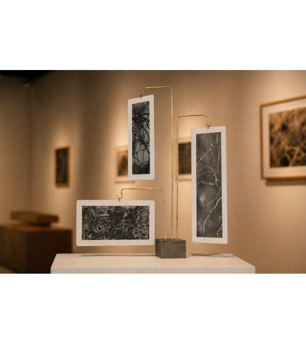 Composition « Compo Photo 224 » M.-L. Teisseire Photo Inox Laiton