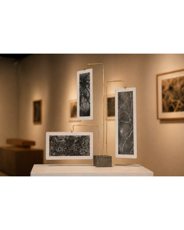 Composition « Compo Photo 224 » M.-L. Teisseire Photo Inox Laiton