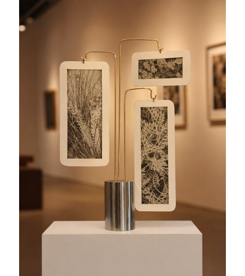 Composition « Compo Photo 124 » M.-L. Teisseire Photo Inox Laiton