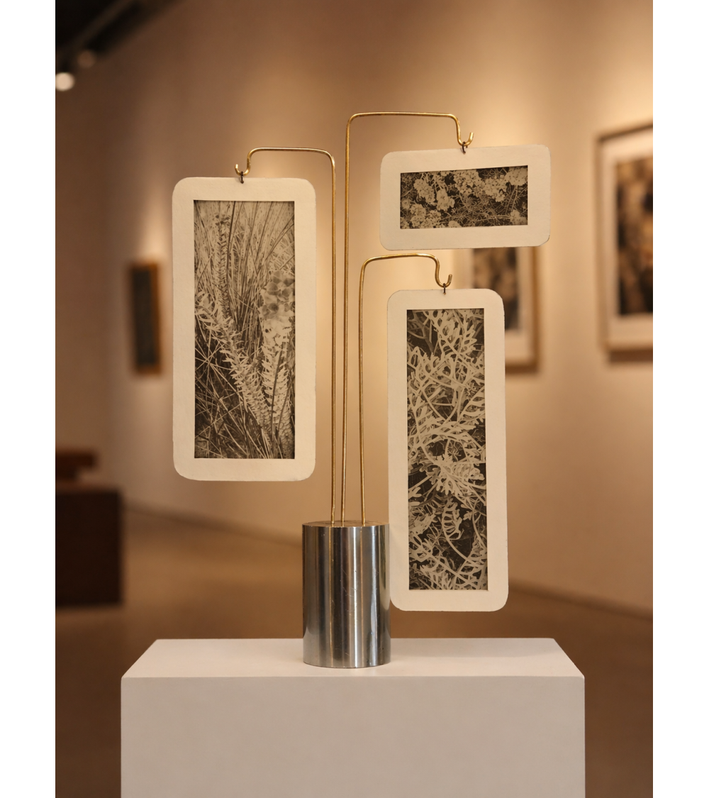 Composition « Compo Photo 124 » M.-L. Teisseire Photo Inox Laiton