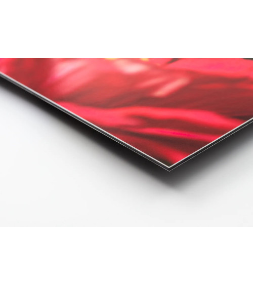 Andy à Saumur – Quadriptyque Pop Art | Digigraphie édition limitée