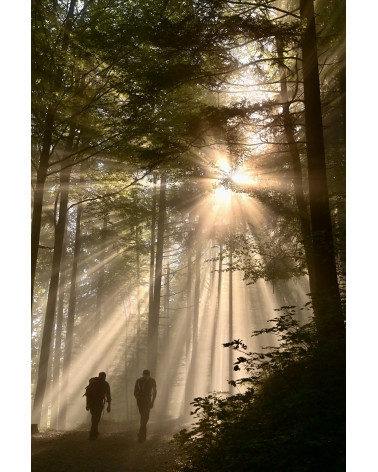 Photographie de Sébastien Thévenon