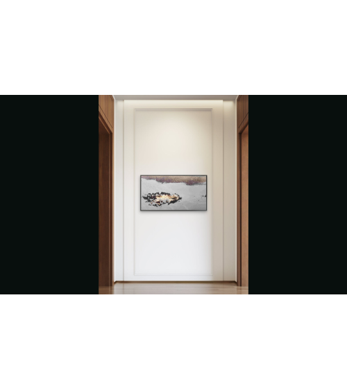 DANS LA TOUNDRA – Danielle COMBE LE MARC | LEV Arts Contemporains