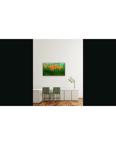 LES ESCHOLTZIAS | Œuvre abstraite contemporaine – LEV Arts Contemporai