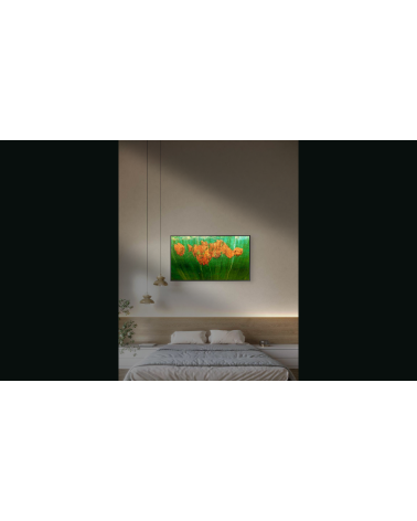 LES ESCHOLTZIAS | Œuvre abstraite contemporaine – LEV Arts Contemporai