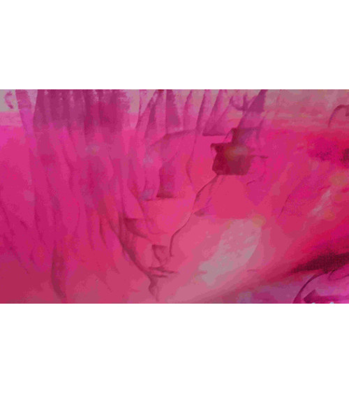 TIMIDITÉ – Danielle COMBE LE MARC | Digigraphie Art Contemporain