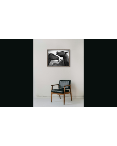 POSTIERS BRETONS – Danielle COMBE LE MARC | LEV Arts Contemporains