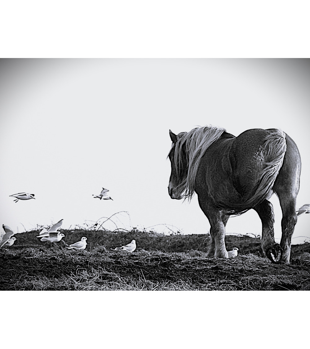 POSTIERS BRETONS – Danielle COMBE LE MARC | LEV Arts Contemporains