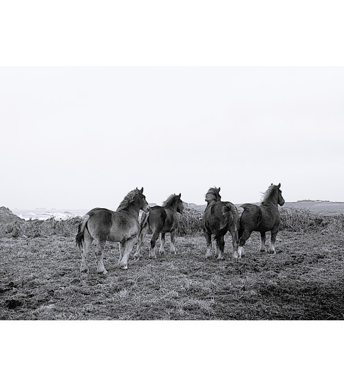 POSTIERS BRETONS – Danielle COMBE LE MARC | LEV Arts Contemporains