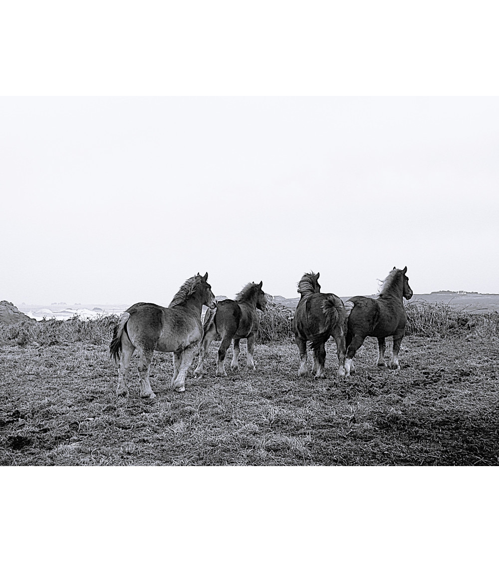 POSTIERS BRETONS – Danielle COMBE LE MARC | LEV Arts Contemporains