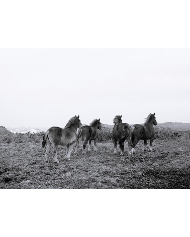 POSTIERS BRETONS – Danielle COMBE LE MARC | LEV Arts Contemporains