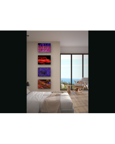 sauvage-II-abstraction-lumineuse-rouge-arnaud-touzet
