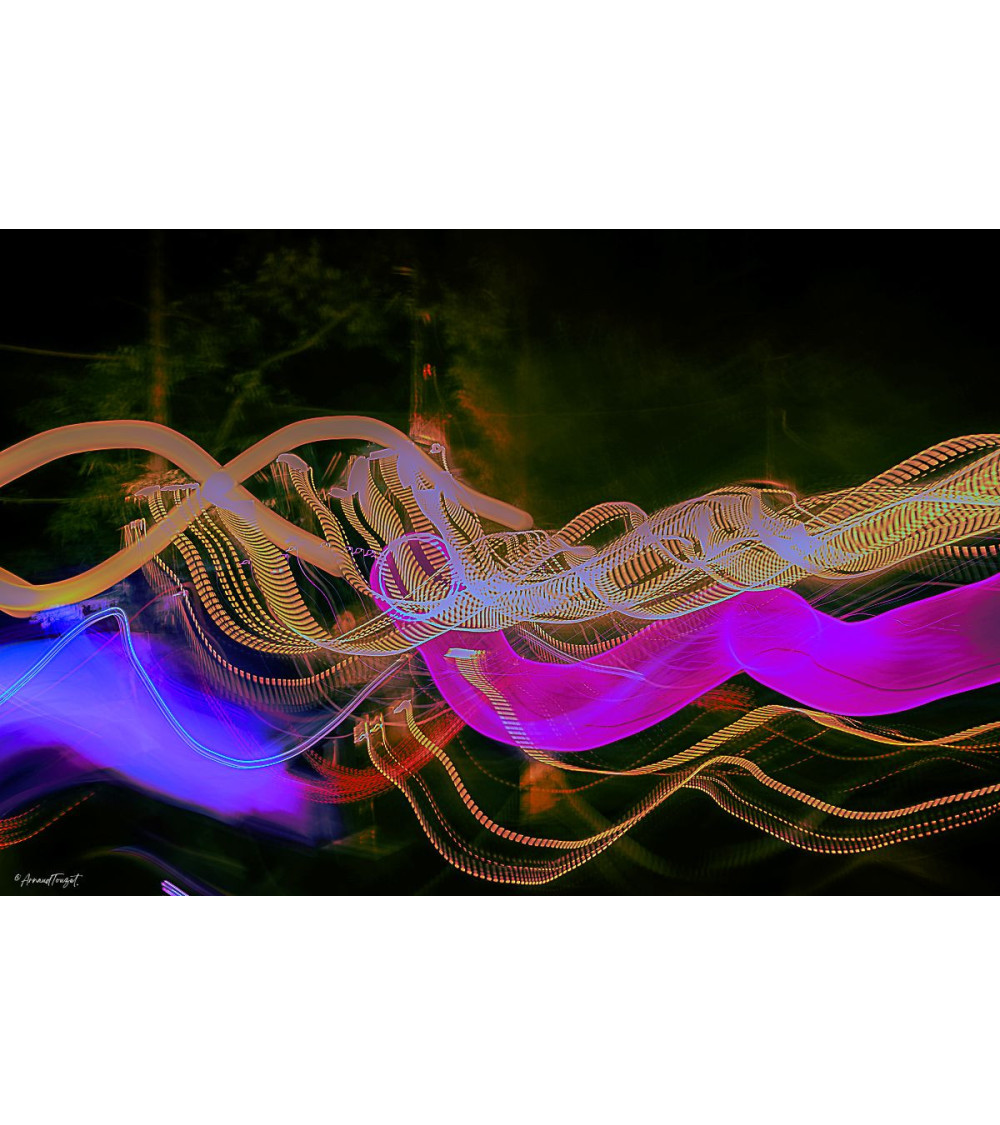 SAUVAGE XI | Photographie Contemporaine Arnaud Touzet