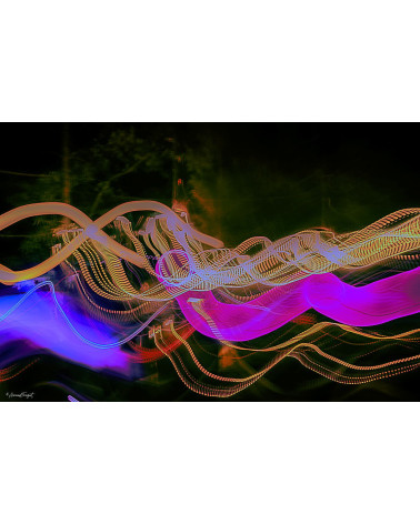 SAUVAGE XI | Photographie Contemporaine Arnaud Touzet