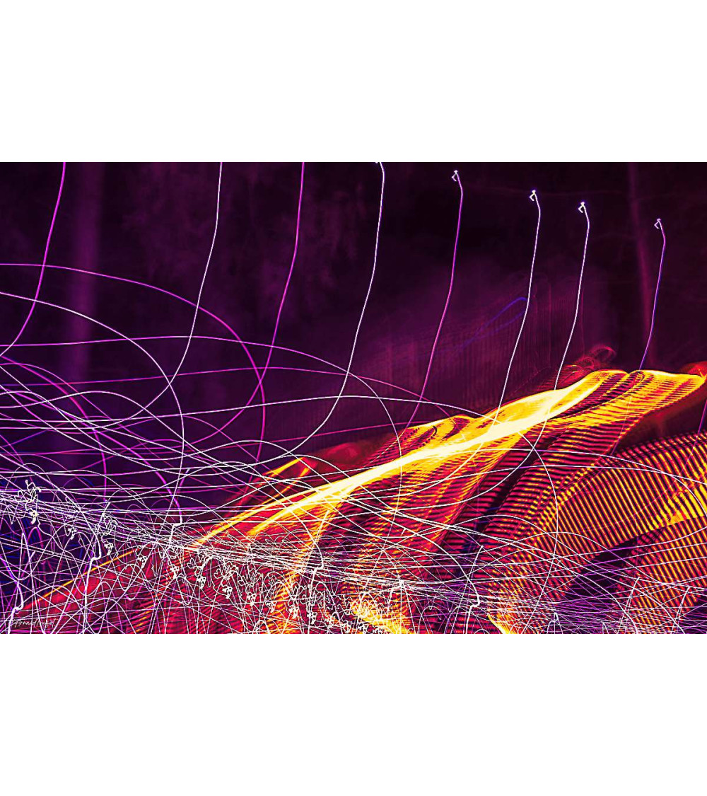 SAUVAGE XVII | Photographie Contemporaine Arnaud Touzet