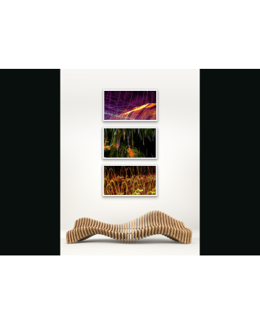 SAUVAGE XVII | Photographie Contemporaine Arnaud Touzet