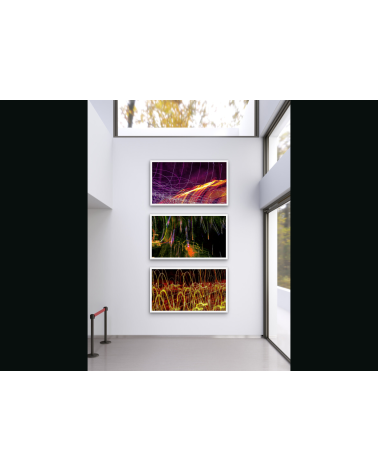 SAUVAGE XVII | Photographie Contemporaine Arnaud Touzet