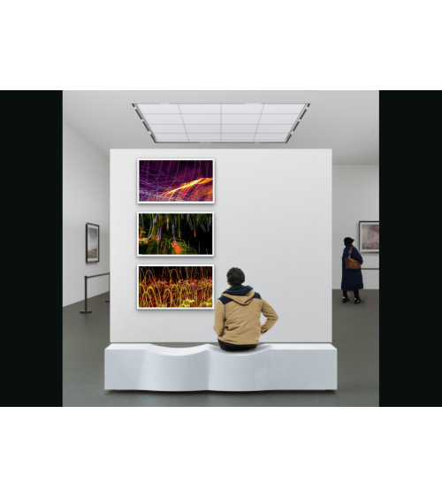 SAUVAGE XVII | Photographie Contemporaine Arnaud Touzet