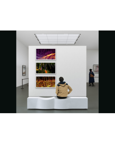SAUVAGE XVII | Photographie Contemporaine Arnaud Touzet