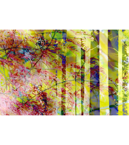 ERABLE I - SUPERPOSITION CHROMATIQUE - François Chauvin